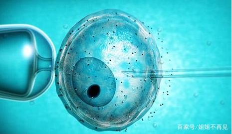 关于爱心供卵代怀助孕咨询哪家好
